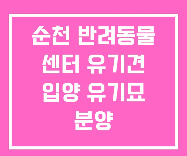 순천 반려동물 센터 유기견 입양 유기묘 분양 순천 반려동물 센터 유기견 입양 유기묘 분양