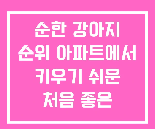 순한 강아지 순위 아파트에서 키우기 쉬운 처음 좋은
