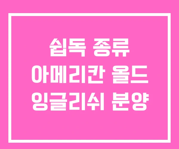 쉽독 종류 아메리칸 올드 잉글리쉬 분양