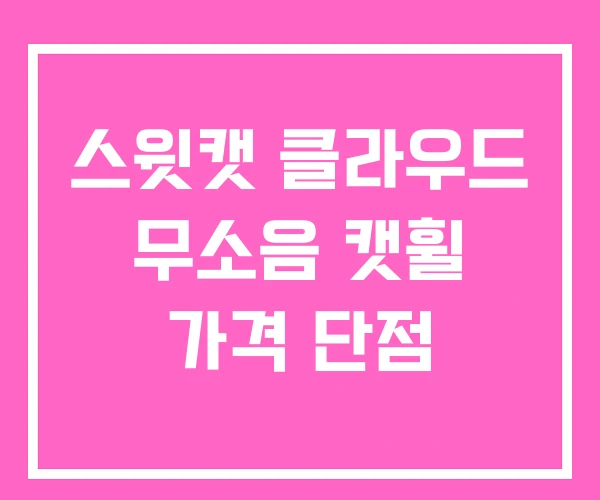 스윗캣 클라우드 무소음 캣휠 가격 단점