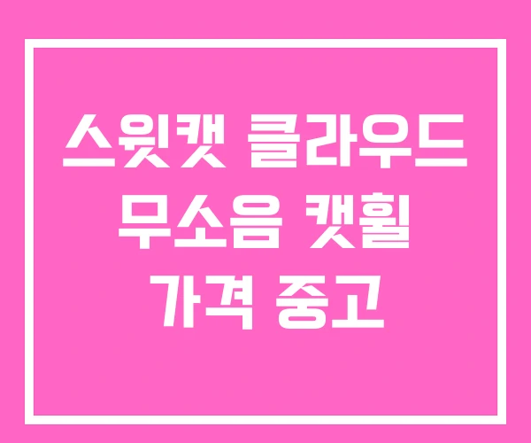 스윗캣 클라우드 무소음 캣휠 가격 중고