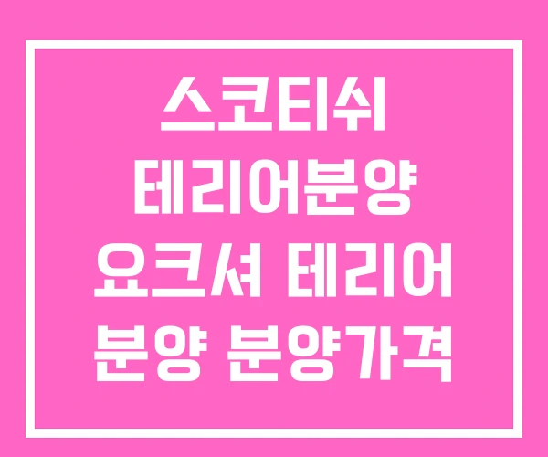 스코티쉬 테리어분양 요크셔 테리어 분양 분양가격