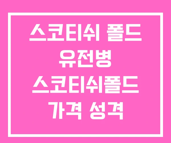 스코티쉬 폴드 유전병 스코티쉬폴드 가격 성격 스코티쉬 폴드 유전병 스코티쉬폴드 가격 성격
