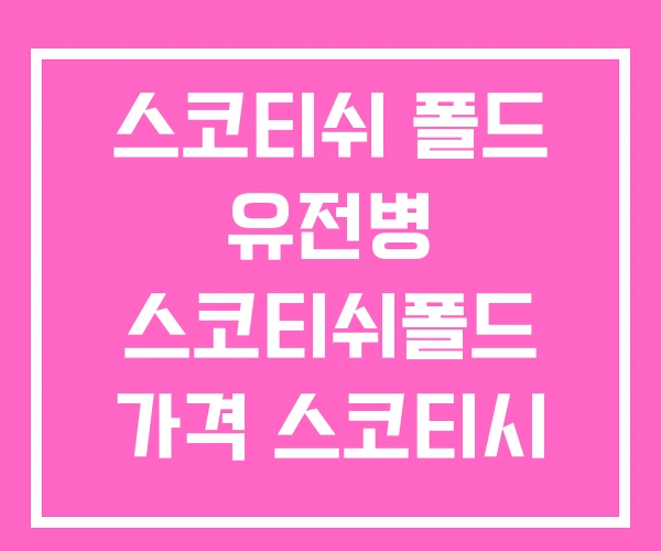 스코티쉬 폴드 유전병 스코티쉬폴드 가격 스코티시 성격