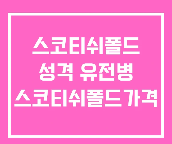 스코티쉬폴드 성격 유전병 스코티쉬폴드가격