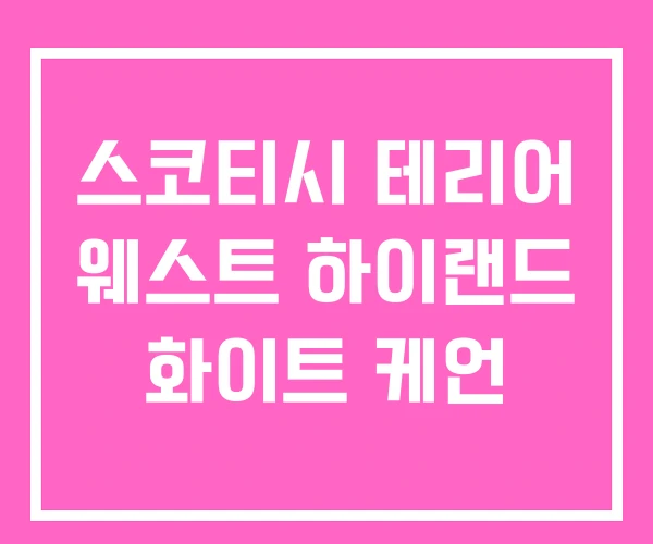 스코티시 테리어 웨스트 하이랜드 화이트 케언