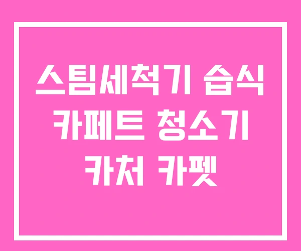 스팀세척기 습식 카페트 청소기 카처 카펫