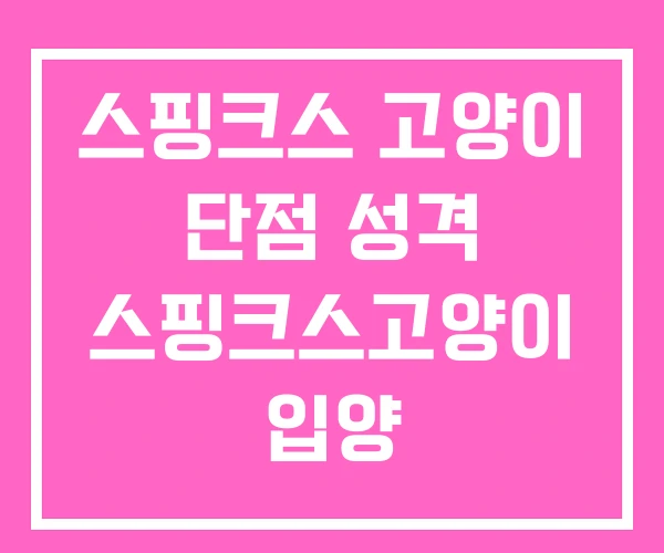스핑크스 고양이 단점 성격 스핑크스고양이 입양 스핑크스 고양이 단점 성격 스핑크스고양이 입양
