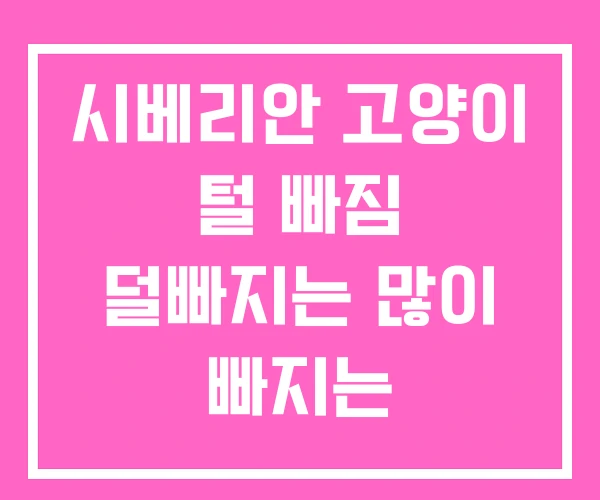 시베리안 고양이 털 빠짐 덜빠지는 많이 빠지는