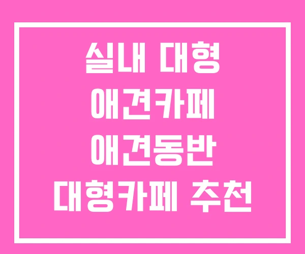 실내 대형 애견카페 애견동반 대형카페 추천 실내 대형 애견카페 애견동반 대형카페 추천