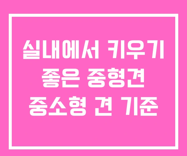 실내에서 키우기 좋은 중형견 중소형 견 기준