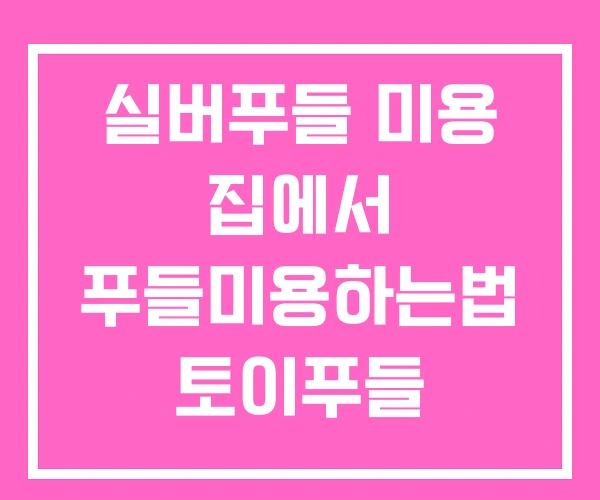 실버푸들 미용 집에서 푸들미용하는법 토이푸들 미용스타일