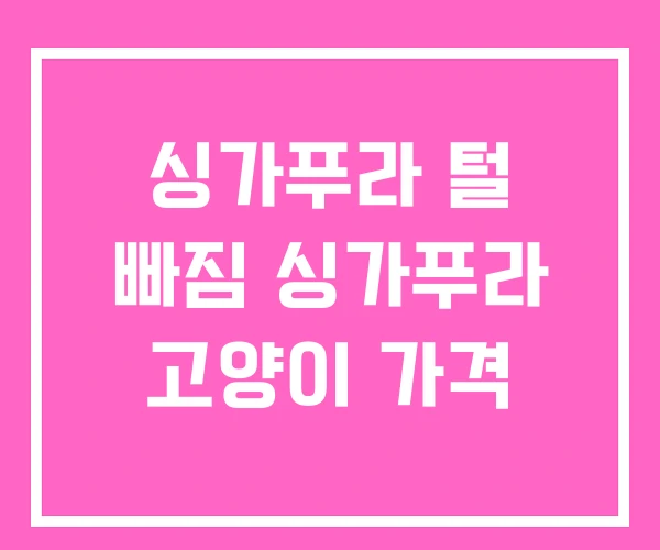 싱가푸라 털 빠짐 싱가푸라 고양이 가격 싱가푸라 털 빠짐 싱가푸라 고양이 가격