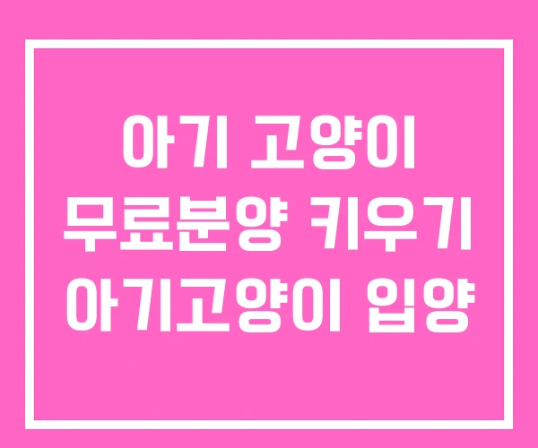 아기 고양이 무료분양 키우기 아기고양이 입양 아기 고양이 무료분양 키우기 아기고양이 입양