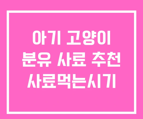 아기 고양이 분유 사료 추천 사료먹는시기