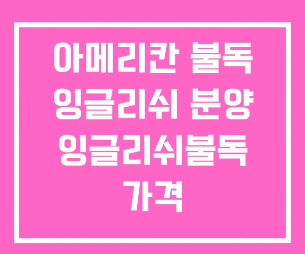 아메리칸 불독 잉글리쉬 분양 잉글리쉬불독 가격 아메리칸 불독 잉글리쉬 분양 잉글리쉬불독 가격