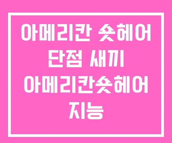 아메리칸 숏헤어 단점 새끼 아메리칸숏헤어 지능 아메리칸 숏헤어 단점 새끼 아메리칸숏헤어 지능