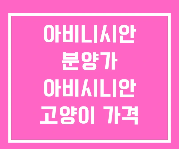 아비니시안 분양가 아비시니안 고양이 가격 단점 아비니시안 분양가 아비시니안 고양이 가격 단점