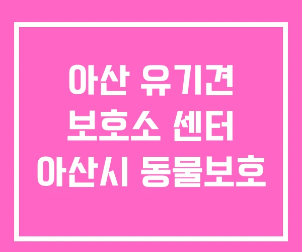 아산 유기견 보호소 센터 아산시 동물보호 아산 유기견 보호소 센터 아산시 동물보호