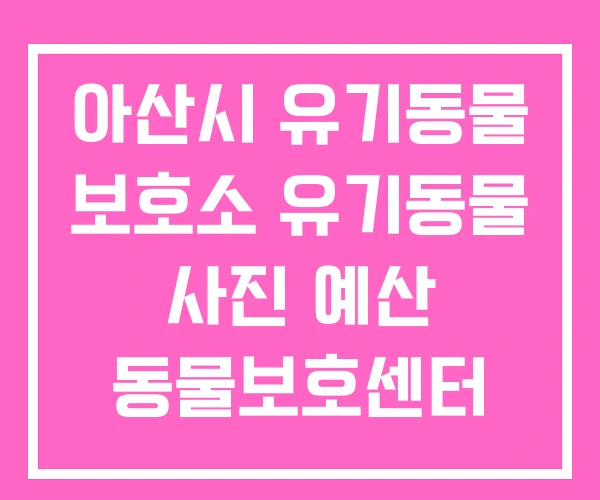 아산시 유기동물 보호소 유기동물 사진 예산 동물보호센터 아산시 유기동물 보호소 유기동물 사진 예산 동물보호센터