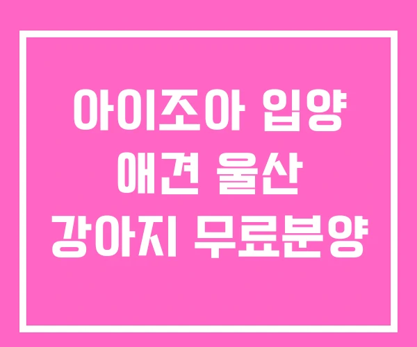 아이조아 입양 애견 울산 강아지 무료분양