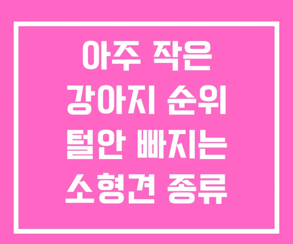 아주 작은 강아지 순위 털안 빠지는 소형견 종류
