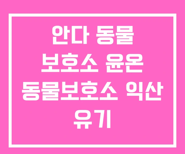 안다 동물 보호소 윤온 동물보호소 익산 유기 안다 동물 보호소 윤온 동물보호소 익산 유기