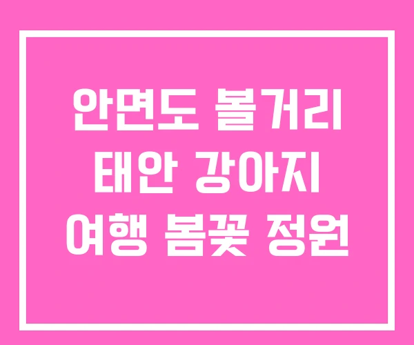 안면도 볼거리 태안 강아지 여행 봄꽃 정원