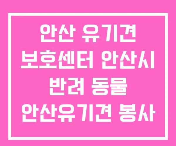 안산 유기견 보호센터 안산시 반려 동물 안산유기견 봉사