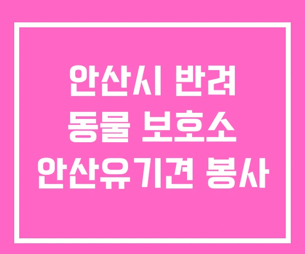 안산시 반려 동물 보호소 안산유기견 봉사 안산시 반려 동물 보호소 안산유기견 봉사