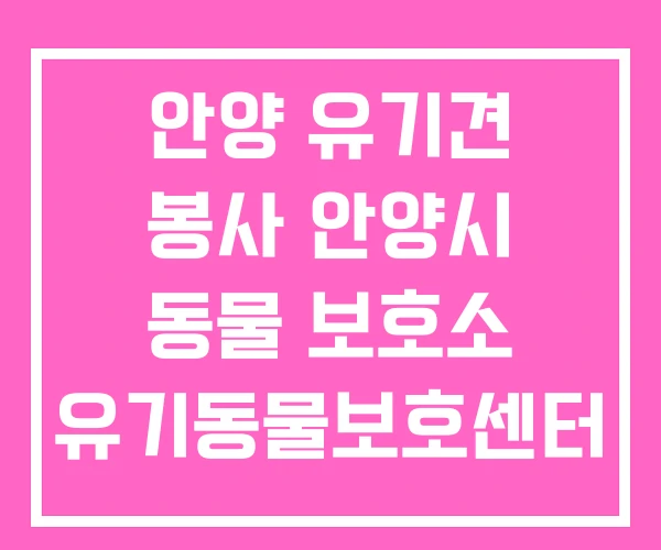 안양 유기견 봉사 안양시 동물 보호소 유기동물보호센터 안양 유기견 봉사 안양시 동물 보호소 유기동물보호센터