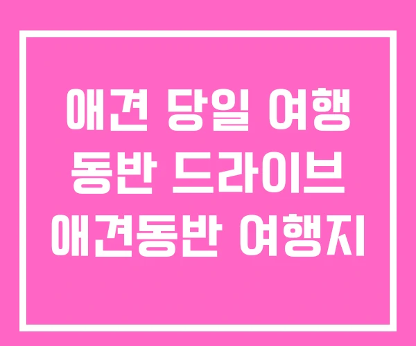 애견 당일 여행 동반 드라이브 애견동반 여행지