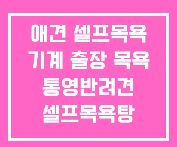애견 셀프목욕 기계 출장 목욕 통영반려견 셀프목욕탕