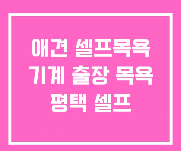 애견 셀프목욕 기계 출장 목욕 평택 셀프