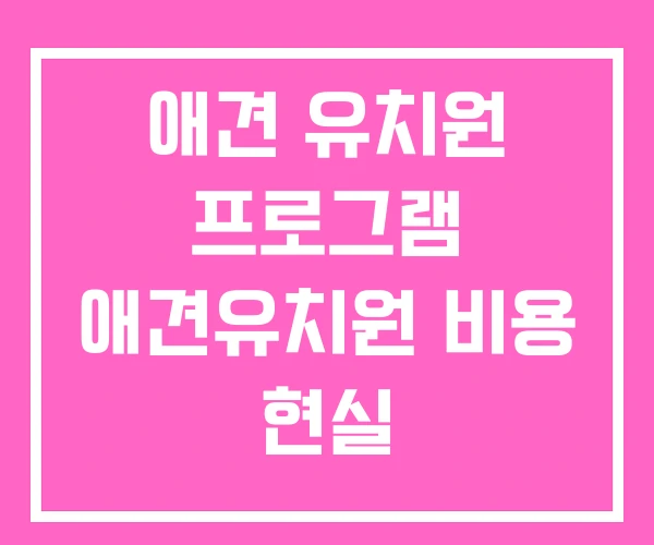 애견 유치원 프로그램 애견유치원 비용 현실