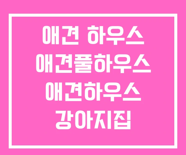 애견 하우스 애견풀하우스 애견하우스 강아지집