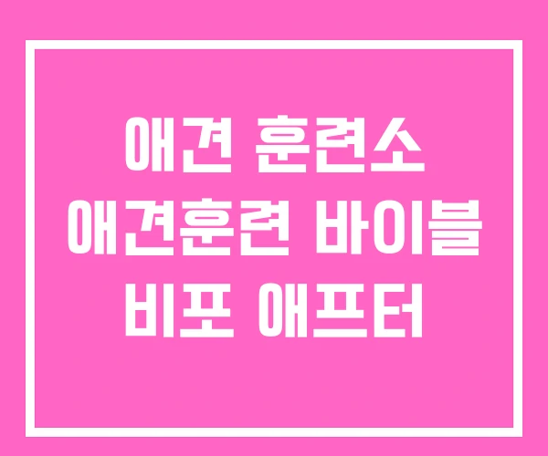 애견 훈련소 애견훈련 바이블 비포 애프터 애견 훈련소 애견훈련 바이블 비포 애프터