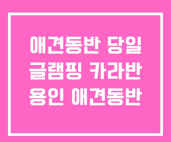 애견동반 당일 글램핑 카라반 용인 애견동반