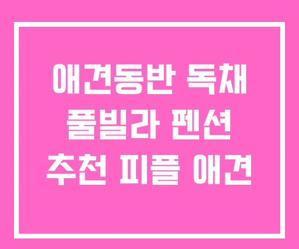 애견동반 독채 풀빌라 펜션 추천 피플 애견