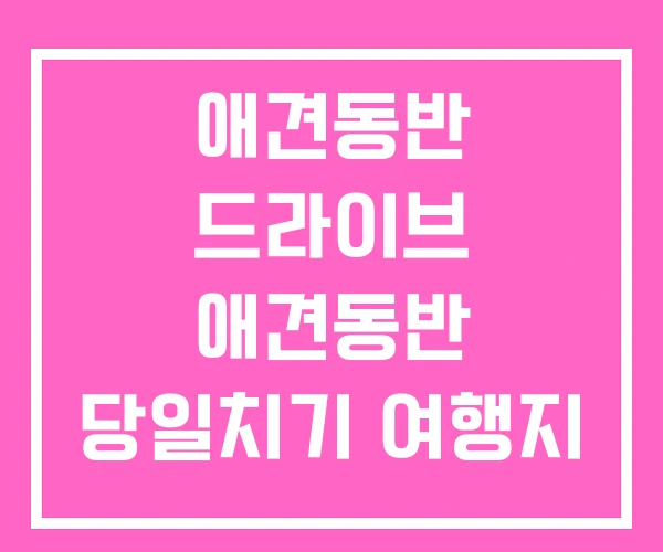 애견동반 드라이브 애견동반 당일치기 여행지 애견동반 드라이브 애견동반 당일치기 여행지