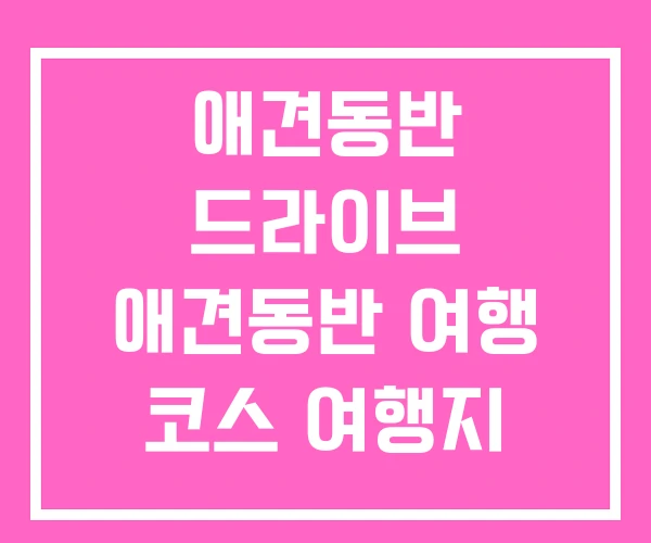애견동반 드라이브 애견동반 여행 코스 여행지 애견동반 드라이브 애견동반 여행 코스 여행지