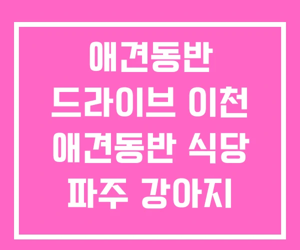 애견동반 드라이브 이천 애견동반 식당 파주 강아지 산책