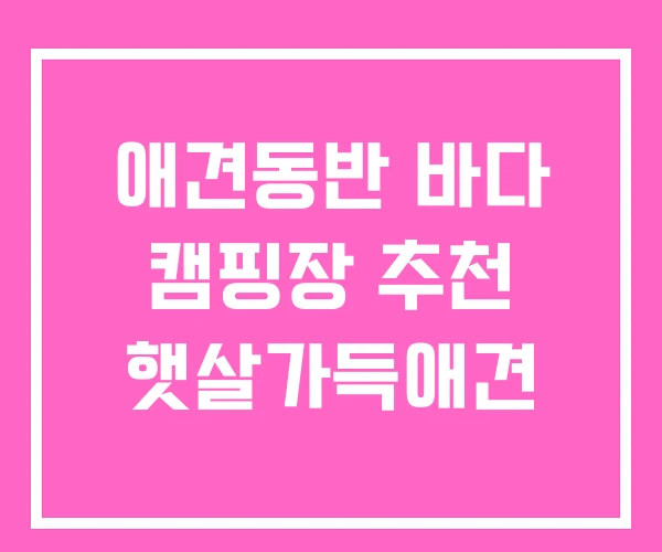애견동반 바다 캠핑장 추천 햇살가득애견 애견동반 바다 캠핑장 추천 햇살가득애견