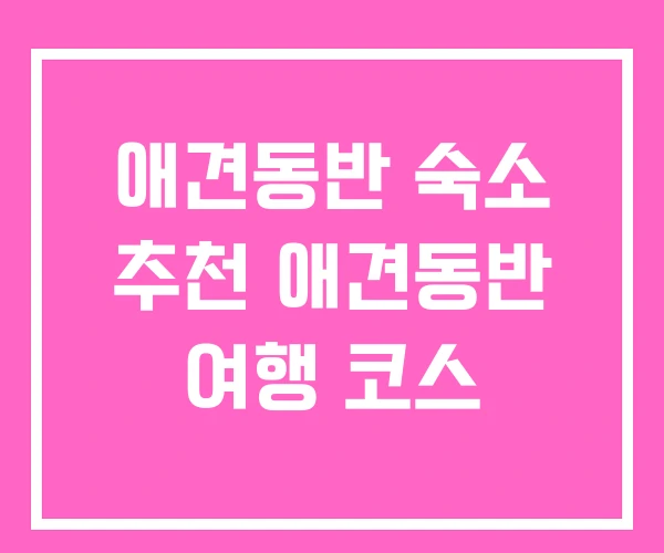 애견동반 숙소 추천 애견동반 여행 코스