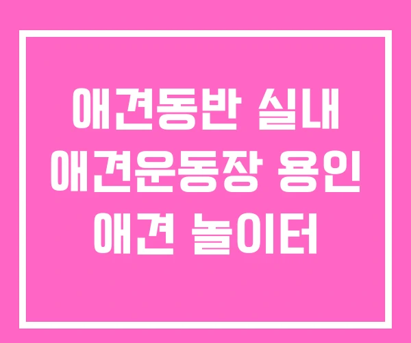 애견동반 실내 애견운동장 용인 애견 놀이터