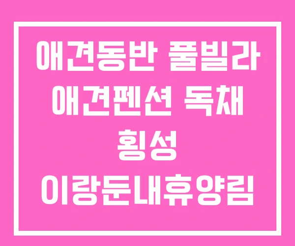 애견동반 풀빌라 애견펜션 독채 횡성 이랑둔내휴양림 펜션 애견동반 풀빌라 애견펜션 독채 횡성 이랑둔내휴양림 펜션