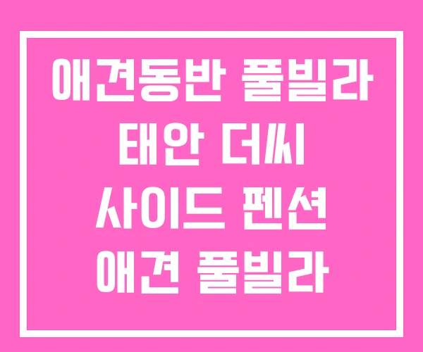애견동반 풀빌라 태안 더씨 사이드 펜션 애견 풀빌라 애견동반 풀빌라 태안 더씨 사이드 펜션 애견 풀빌라