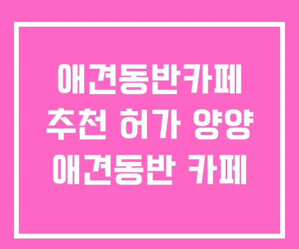 애견동반카페 추천 허가 양양 애견동반 카페 애견동반카페 추천 허가 양양 애견동반 카페