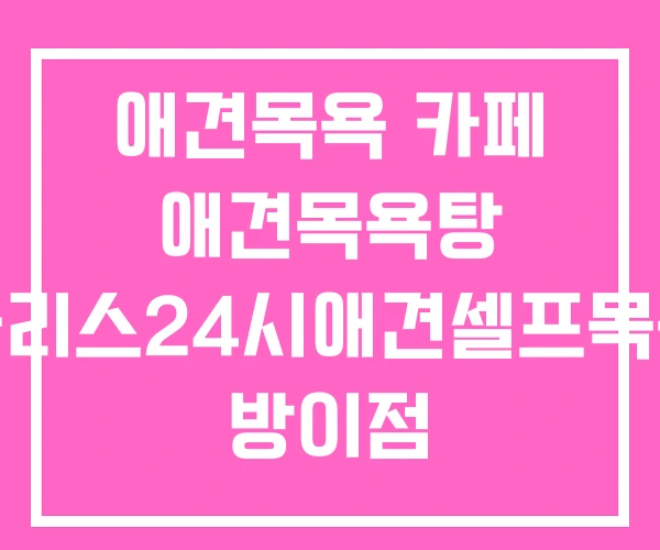 애견목욕 카페 애견목욕탕 올리스24시애견셀프목욕 방이점