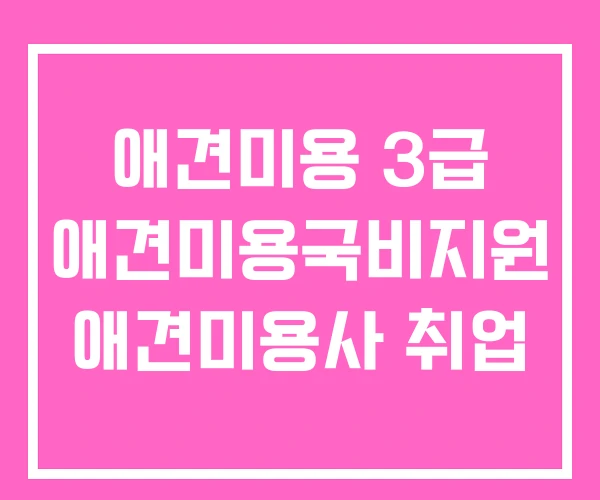 애견미용 3급 애견미용국비지원 애견미용사 취업 애견미용 3급 애견미용국비지원 애견미용사 취업